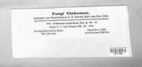 Uromyces euphorbiae image